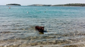 IMG 20180712 143337 - kopie